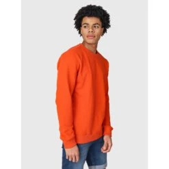 Brunotti Nother Trøje -VandGlæde Salgsbutik 2311120013 2557 3 900x